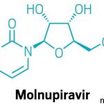 What is Molnupiravir?